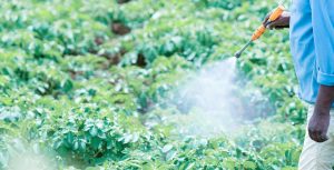 Cubitainer Use For Liquid Fertilizer