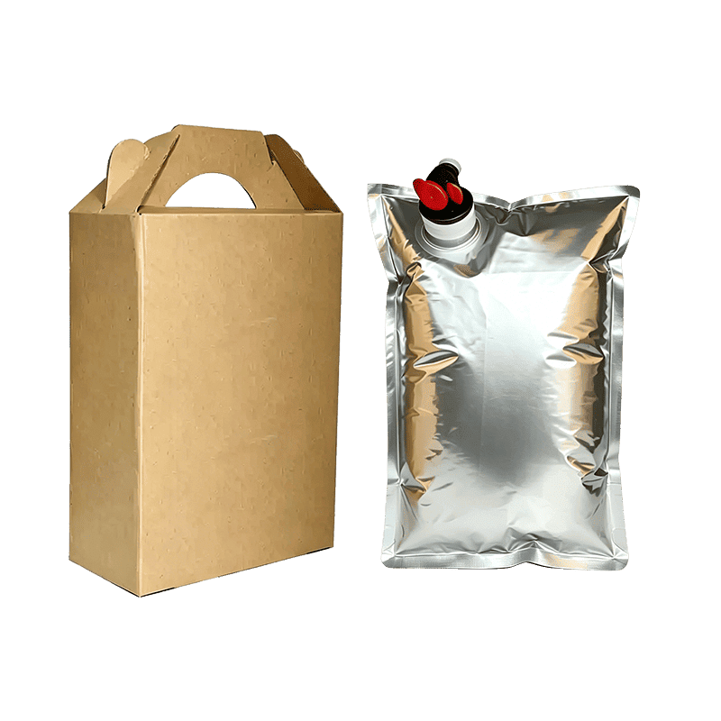 Pillow bag-in-box packaging with outer carton