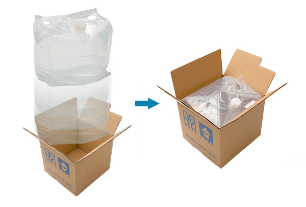 Cheertainer liquid detergent packaging with carton support