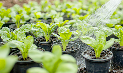 Packaging Challenges for Liquid Fertilizer