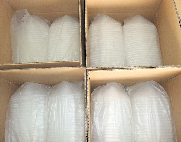 10L Cubitainer carton packing